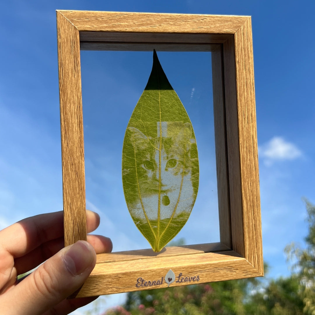 Custom Leaf Art Frame